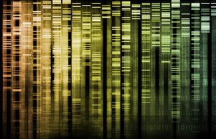 Genome-Wide Association Studies Identify Vascular Dysfunction to Be Major Cause of Migraine Susceptibility