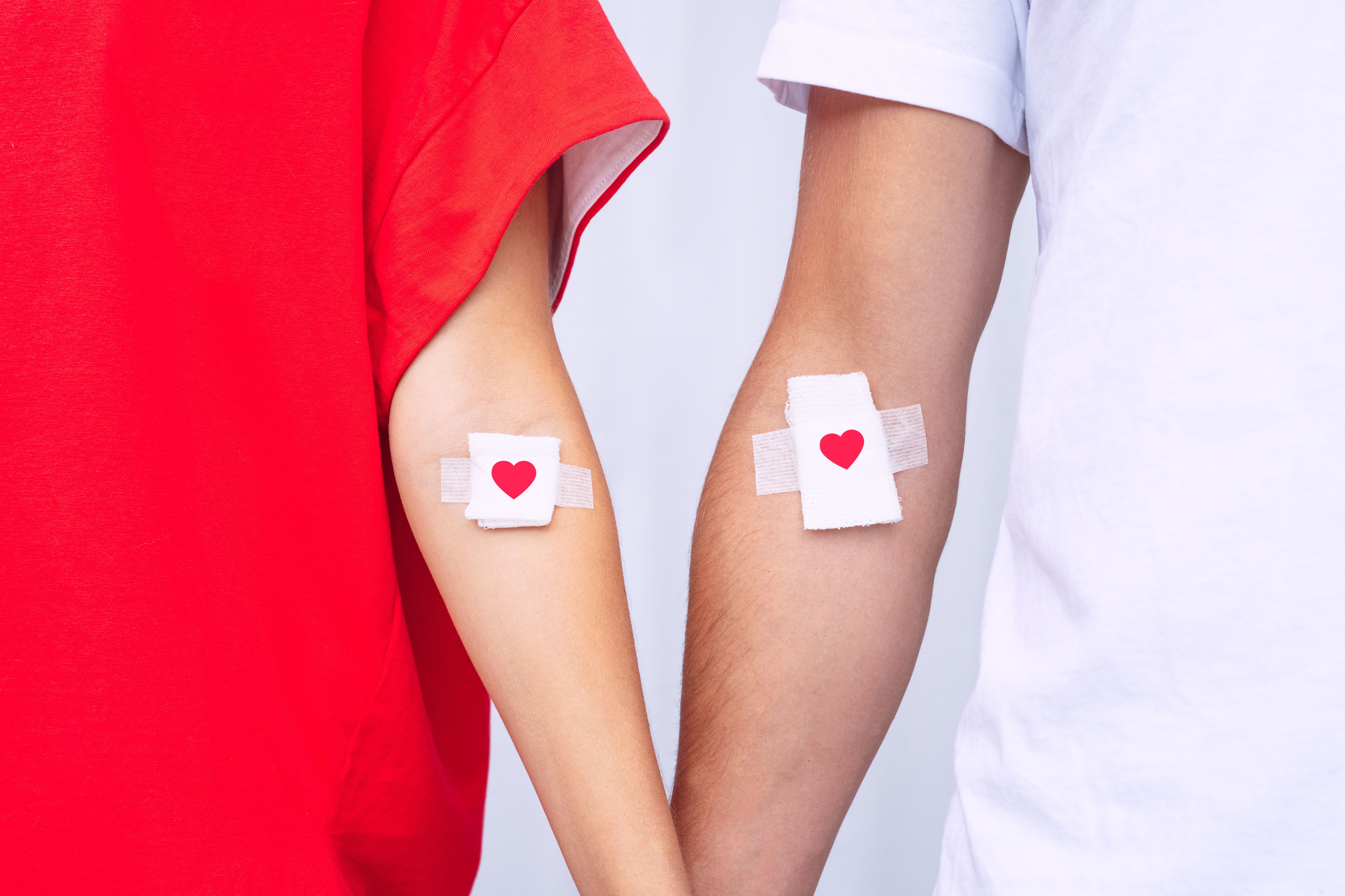 Donating blood can save more than 1 life | image credit: Creative Cat Studio - stock.adobe.com