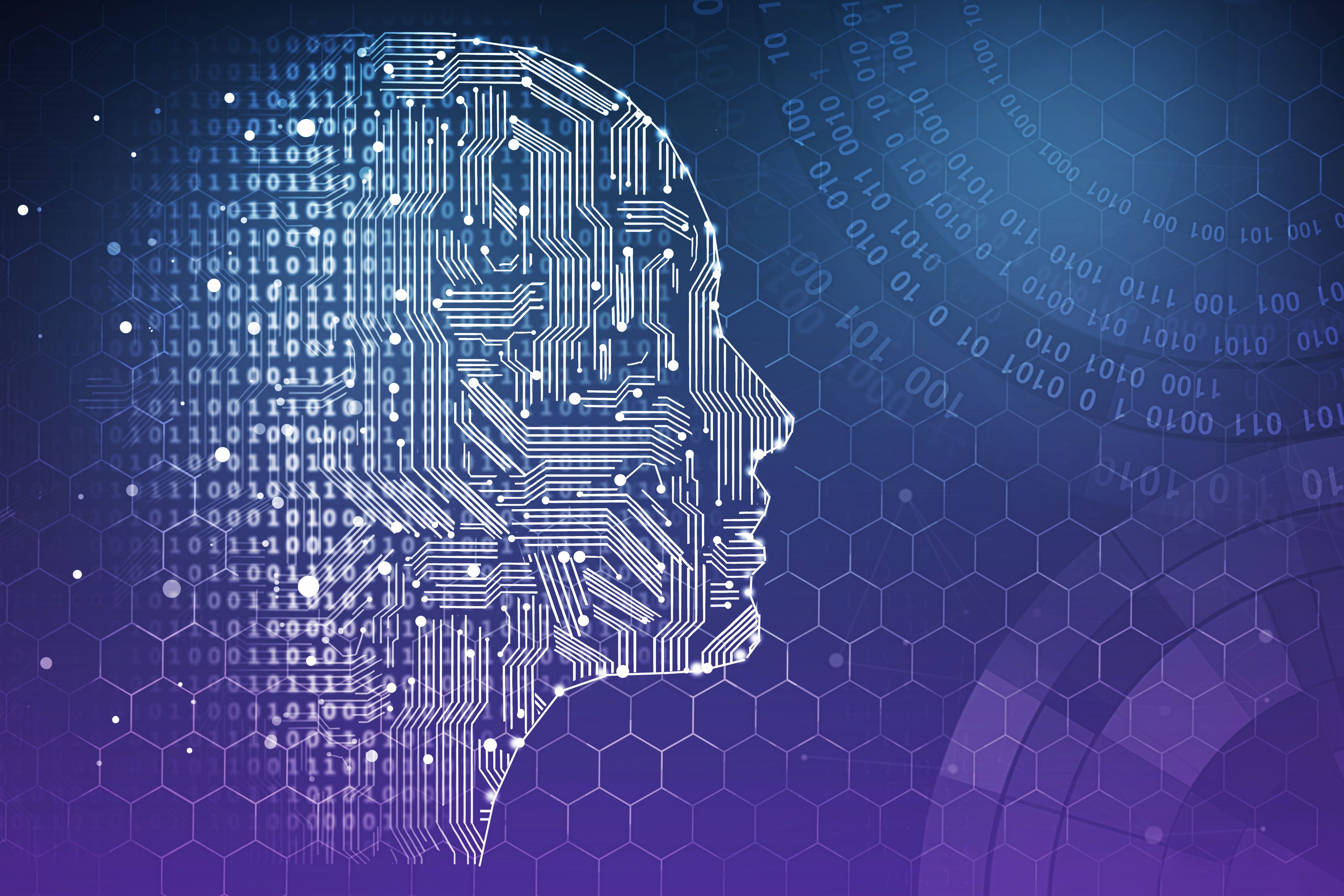 graphical image of brain as circuit