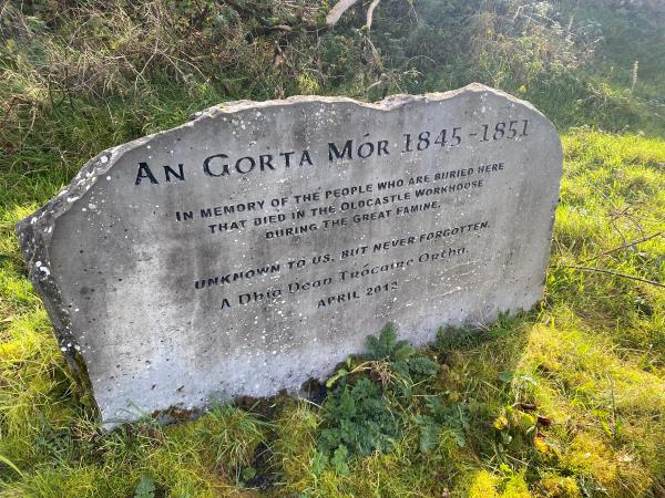 The Famine’s Lessons: How Disease Stayed With Irish Americans for Generations—and Why It Still Matters