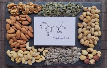 tryptophan and nuts | Image credit: Danijela - stock.adobe.com