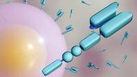 CAR T-cell Image | Image Credit: © Love Employee-stock.adobe.com