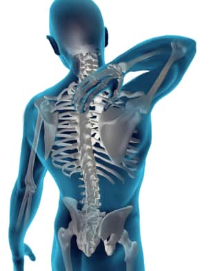 picture of bones in back