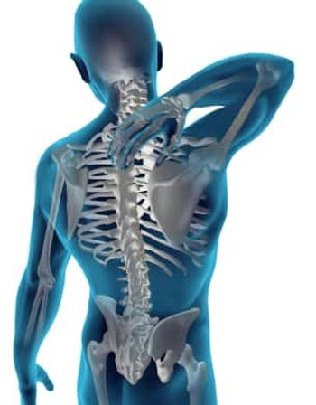 picture of bones in back