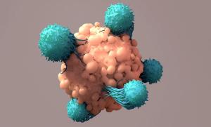 CAR T-DeisgnCells-stock.adobe.com.jpeg
