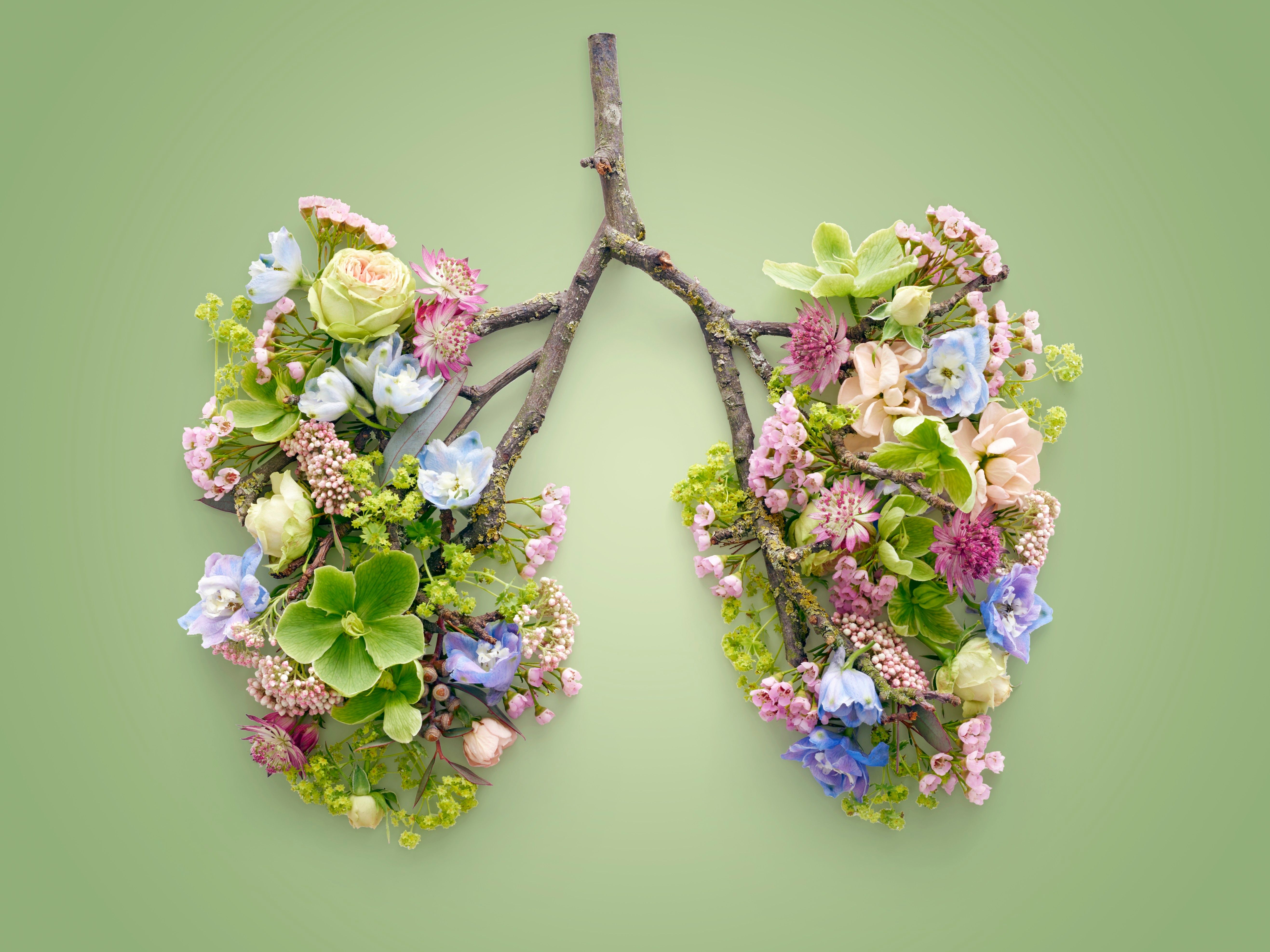 Spring flowers representing human lungs |  Science RF - stock.adobe.com