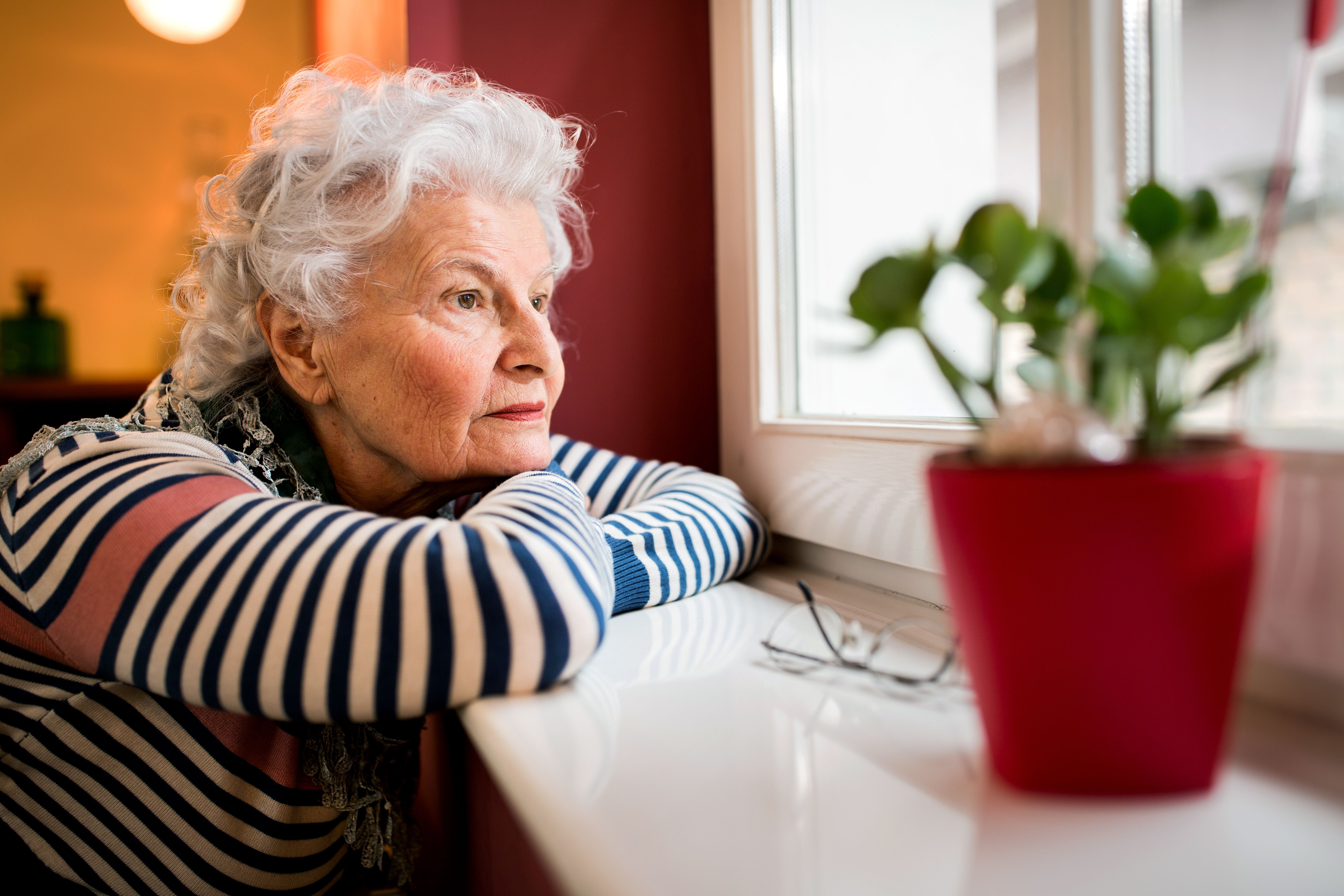 female older adult looking out window | Image Credit: didesign - stock.adobe.com