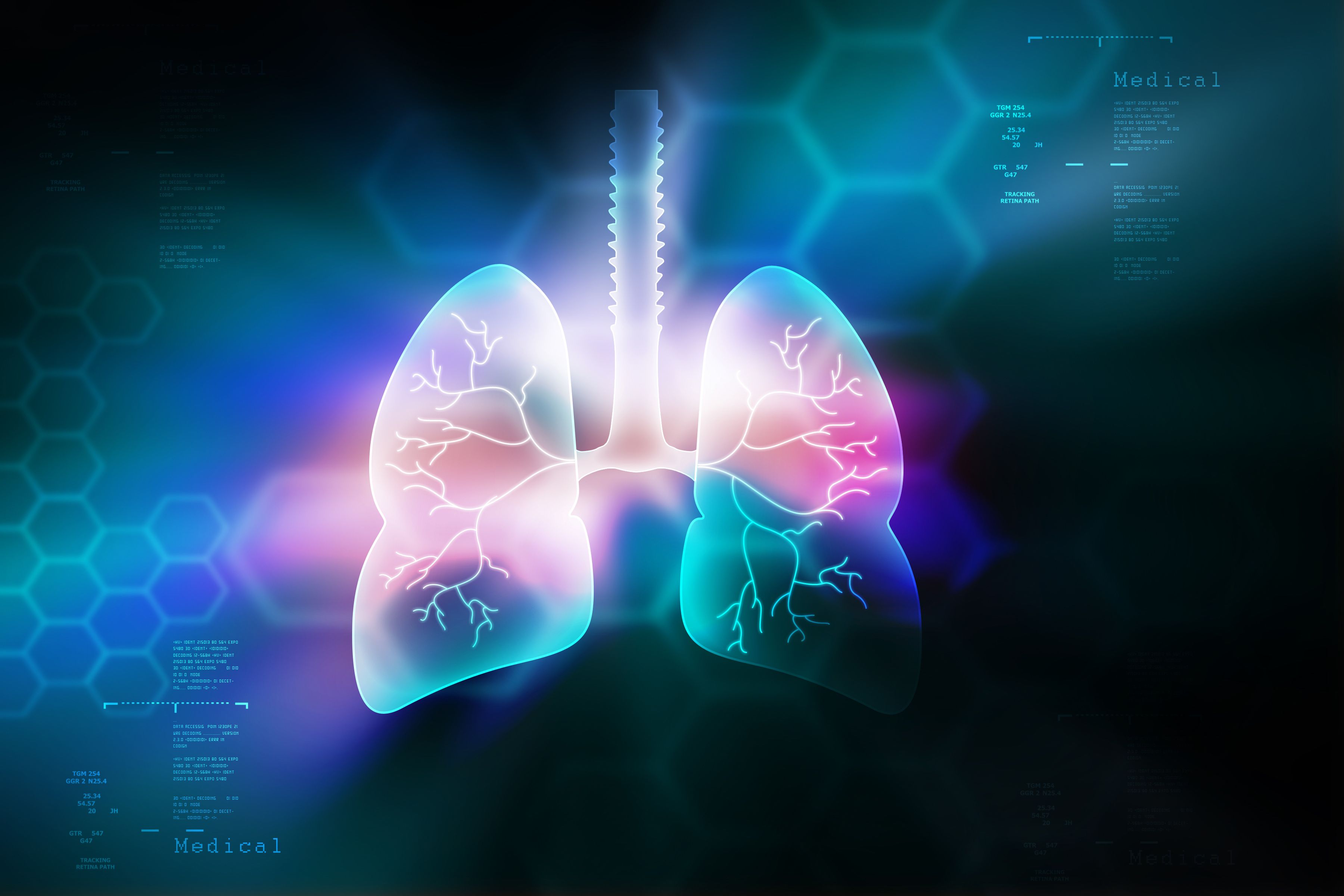 Lungs diagram with colors