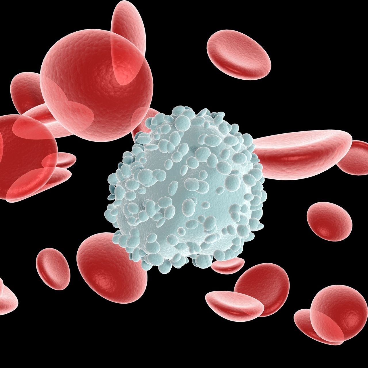 Клетки крови человека лейкоциты