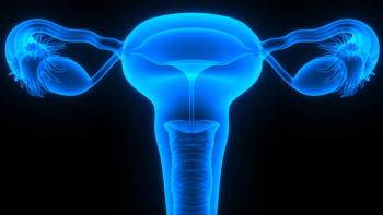 Image of ovaries