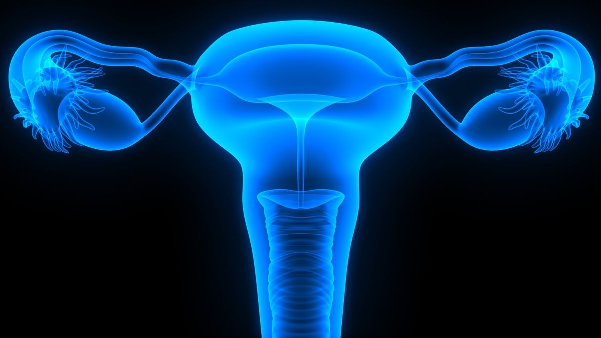 Genealogical Study Of Primary Ovarian Insufficiency Suggests Strong genealogical-study-of-primary-ovarian-insufficiency-suggests-strong
