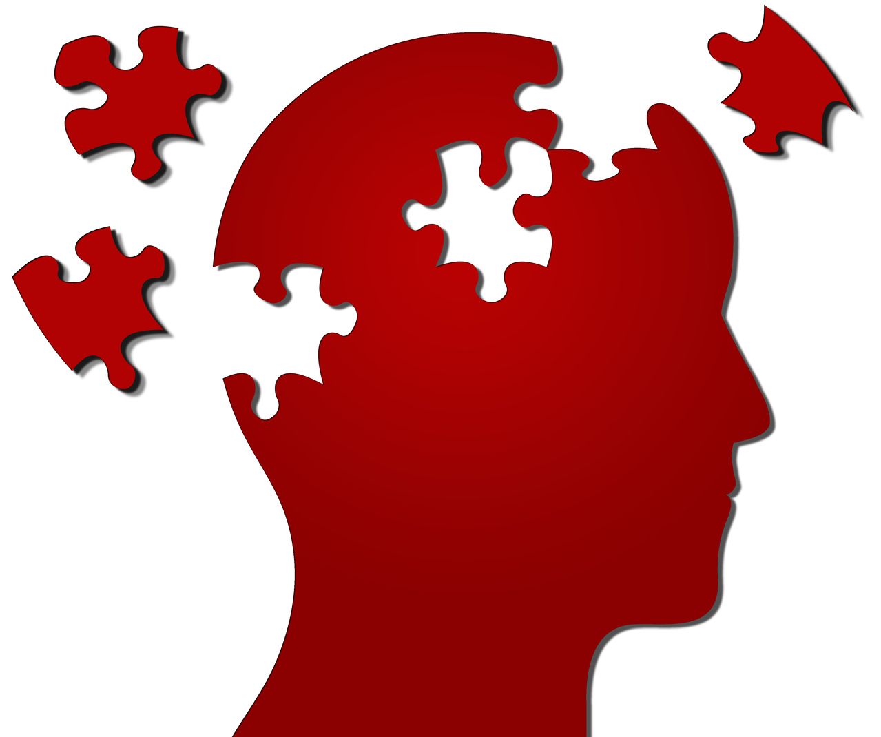 Image of brain missing pieces