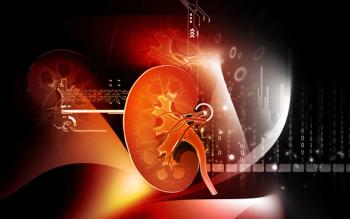 Kidney graphic