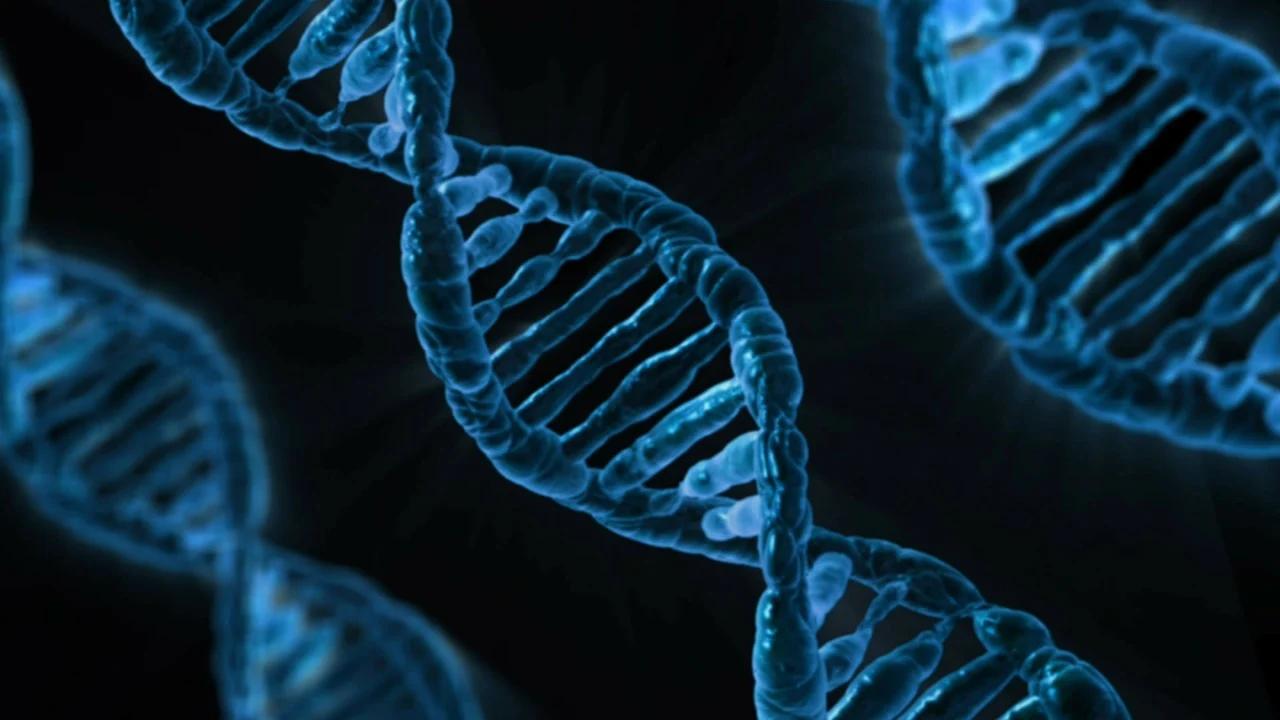 Genetic Models | Image: Pixabay