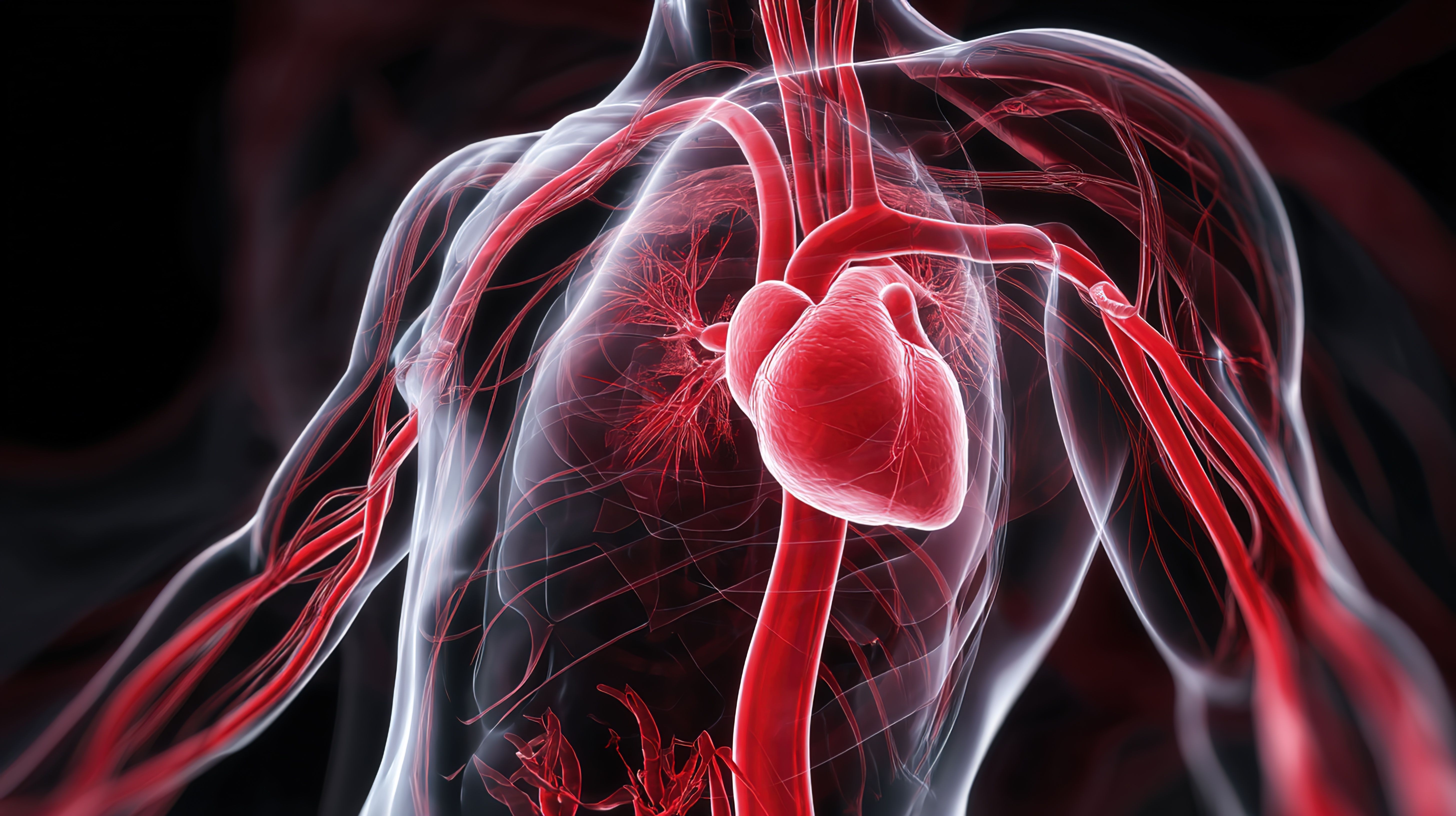 Cardiovascular system image | Image credit: dawei - stock.adobe.com