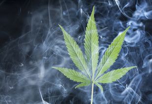 Lung Disease From Smoking Marijuana More Likely in Men With HIV