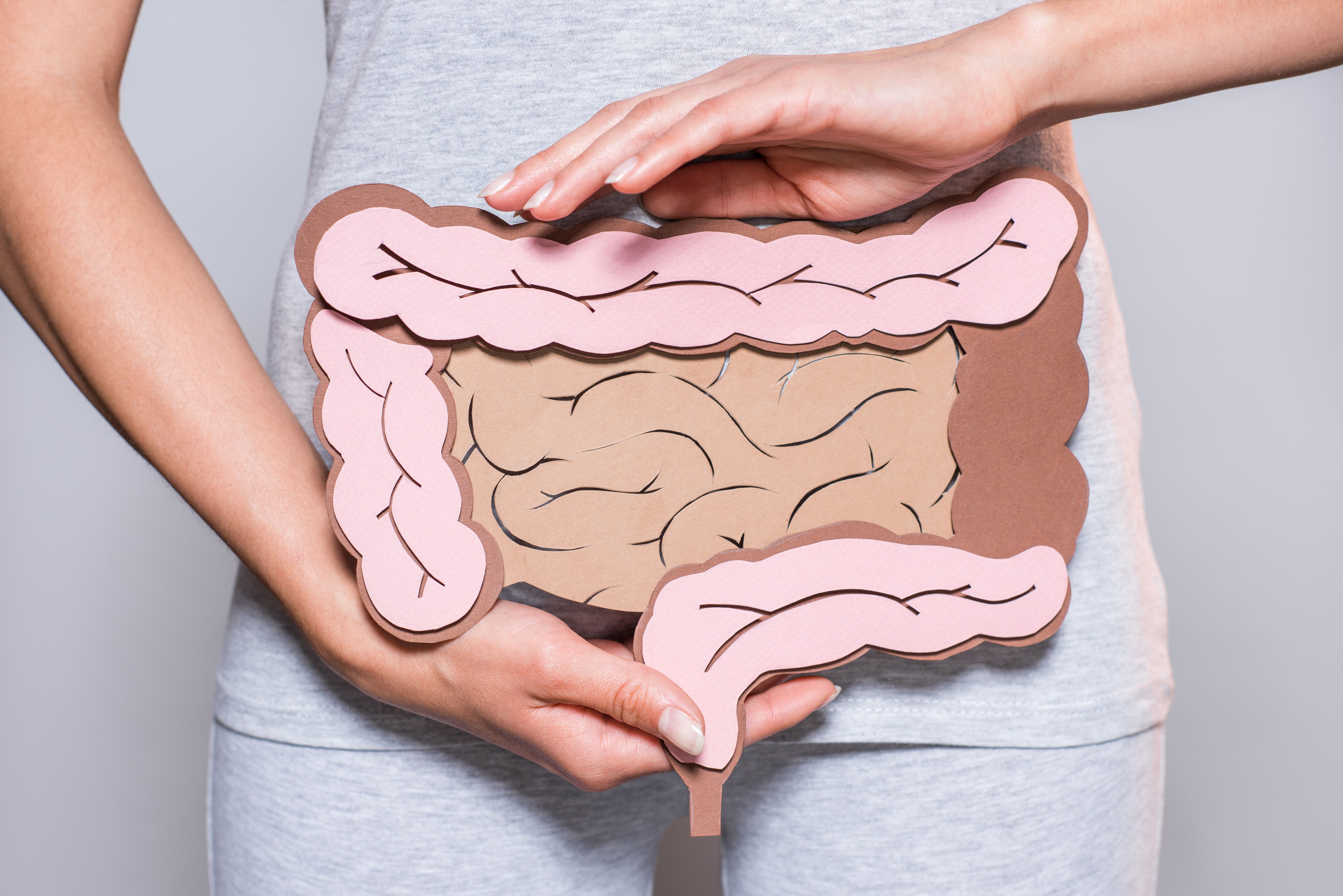 Woman holding diagram of colon | Image credit: LIGHTFIELD STUDIOS - stock.adobe.com