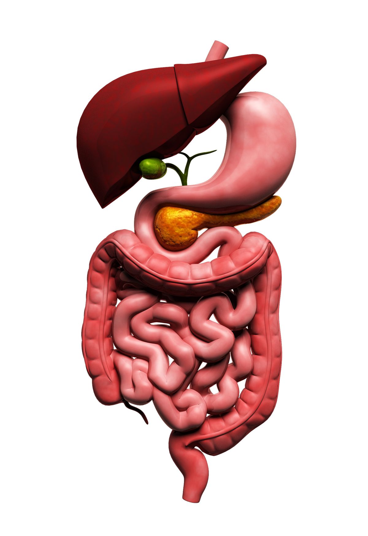 Individualized Antimicrobial Treatment, Prophylactic Regimens May Help With GVHD After Liver Transplant