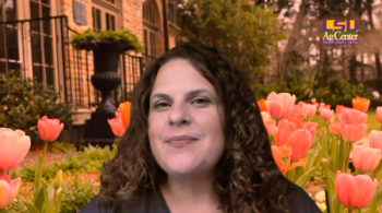 Dr Denise Holston