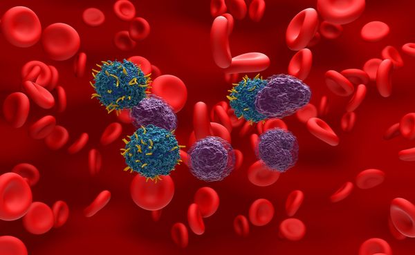 Sequencing decisions must be highly individualized in the era of immunotherapy for MCL. | Image credit: LASZLO - stock.adobe.com