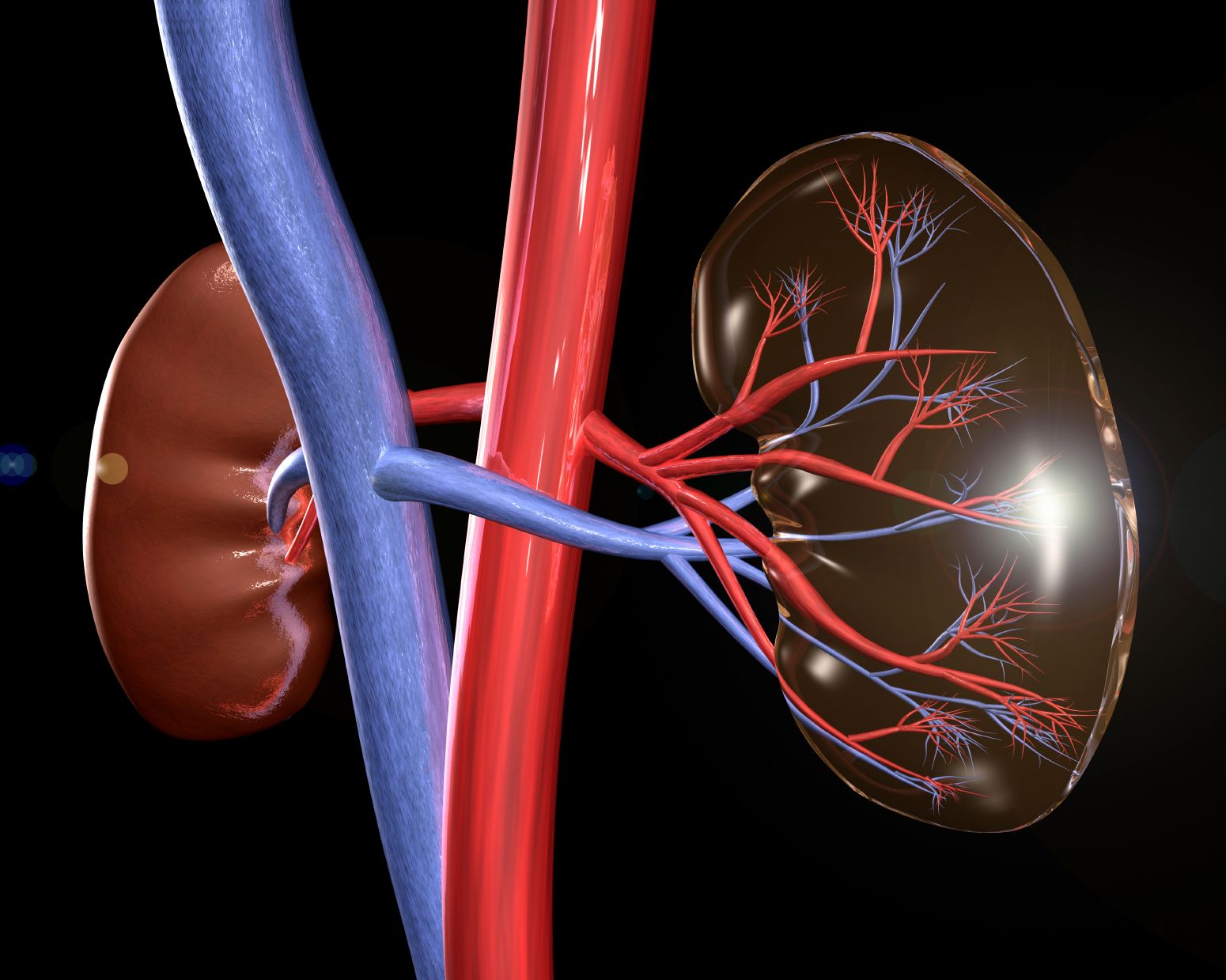 Dropping Race From eGFR Doubles Estimated Prevalence of CKD in Black Populations