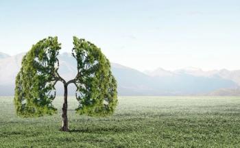 image of lungs as a tree