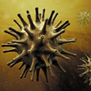 An Integrated Approach to Ensure the Viral Safety of Biotherapeutics