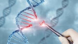 CRISPR gene editing illustration showing DNA strand with segment being removed and replaced representing Casgevy exagamglogene autotemcel sickle cell disease gene therapy. - stock.adobe.com
