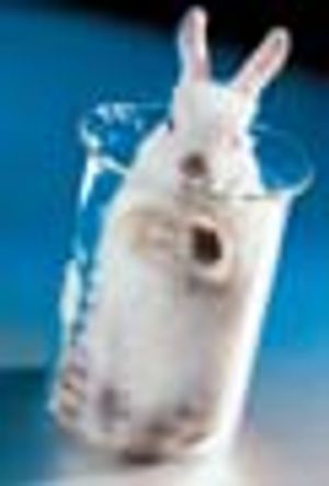 Rapid Microbiological Methods and the PAT Initiative