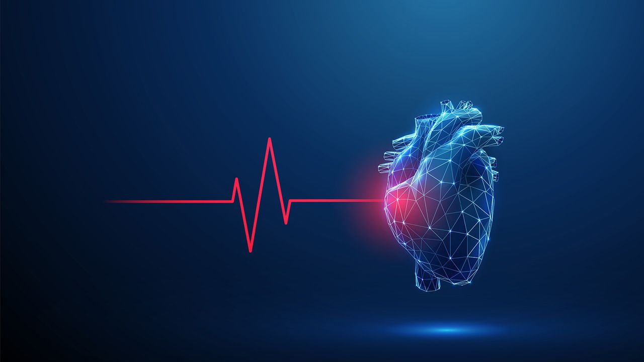Abstract blue human heart with red cardio pulse line and red circle. Healthcare medical concept | Image credit: © Елена Бутусова - © Елена Бутусова - stock.adobe.com