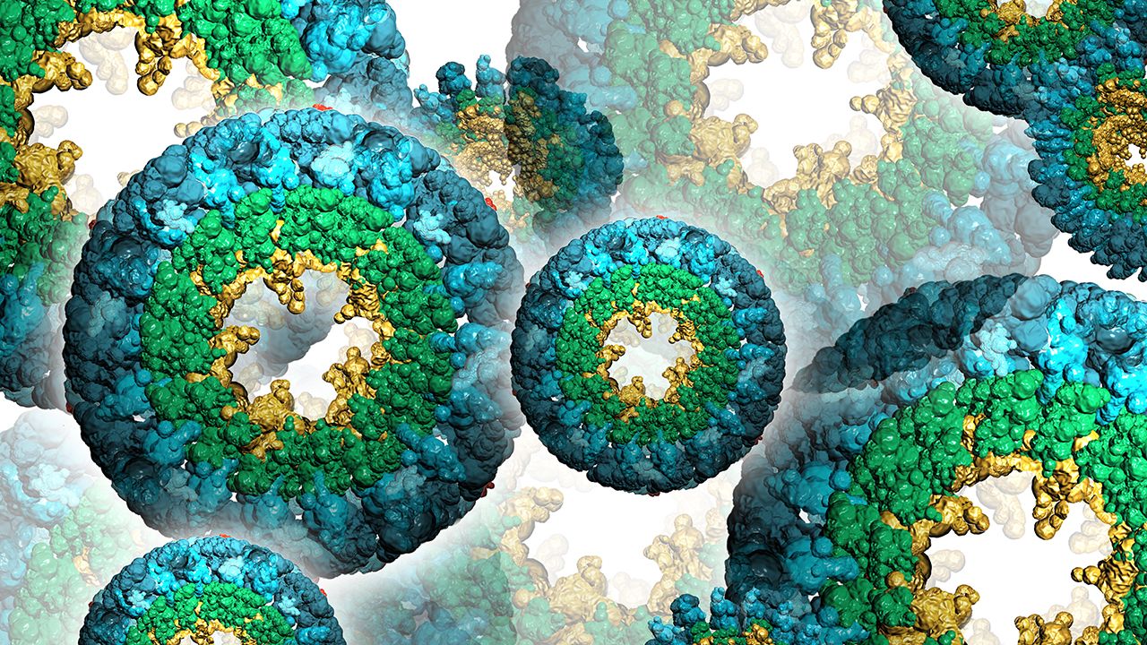 HCP Analysis with TIMS-MS