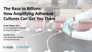 The Race to Billions How Amplifying Adherent Cultures Can Get You There
