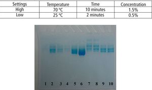 BP1116_CleanValProtein_Figure-10.jpg