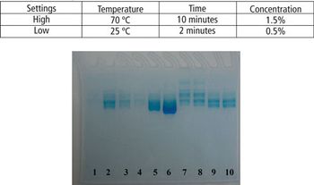 BP1116_CleanValProtein_Figure-10.jpg
