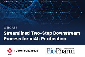 Streamlined Two-Step Downstream Process for mAb Purification