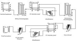 An Economic Analysis of Single-Use Tangential Flow Filtration for Biopharmaceutical Applications