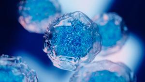 Creative image of embryonic stem cells, cellular therapy. 3d illustration | Image credit: © pinkeyes - © pinkeyes - stock.adobe.co