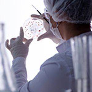 Biopharmaceutical Manufacturing and the Power of Synthetic Biology