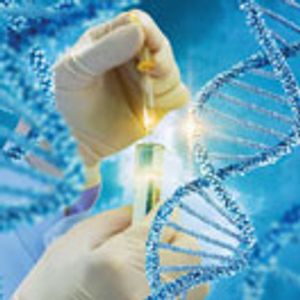 The Ins and Outs of LC-Based Analytical Tools and Techniques