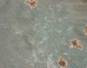 Nims_Figure-3-724372-1408620089507.jpg