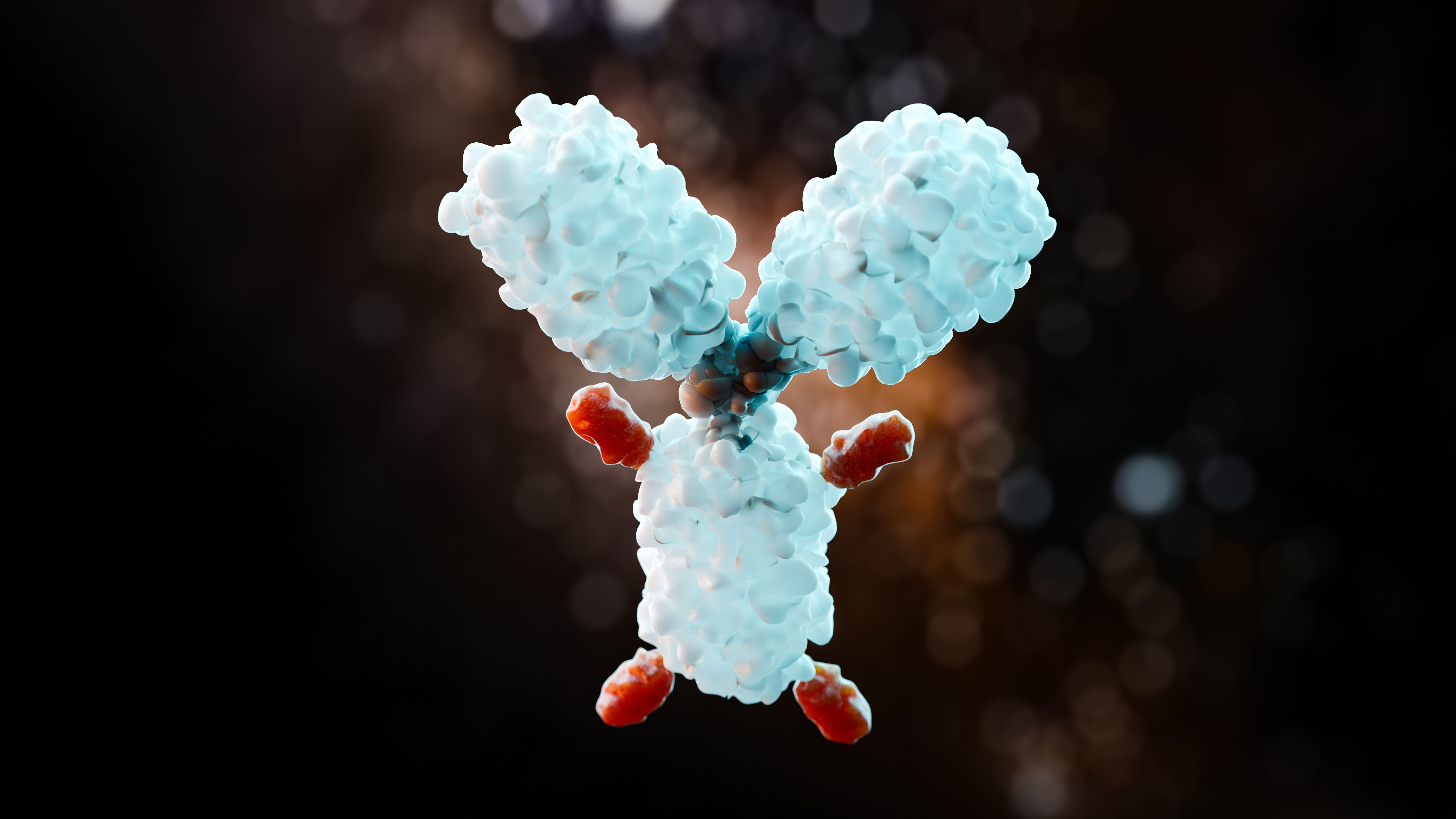 Antibody molecule with small attached fragments at the binding sites, against a dark background. | Image Credit: © AddMeshCube - stock.adobe.com