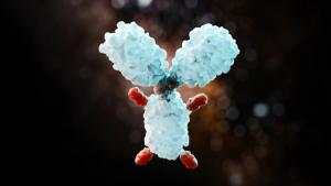 Antibody molecule with small attached fragments at the binding sites, against a dark background. | Image Credit: © AddMeshCube - stock.adobe.com