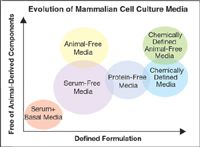 Media Development for Mammalian Cell Culture