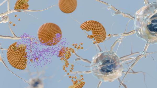A 3d rendering of the moment a nanocarrier or liposome delivers its therapeutic payload to a specific target or nervous system at a microscopic level. | Image credit: © Love Employee - © Love Employee - stock.adobe.com