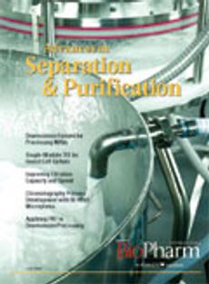 BioPharm International-06-02-2006