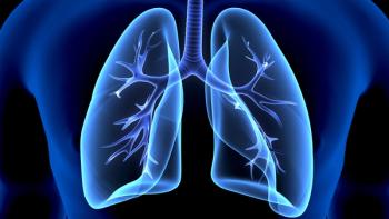 3d illustration of human body lungs anatomy | Image Credit: © PIC4U - stock.adobe.com