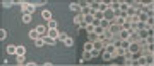 Development of a Novel Platform TFF System for Insect Cell Culture Harvest