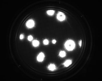 Millipore_Fig1_resized.jpg
