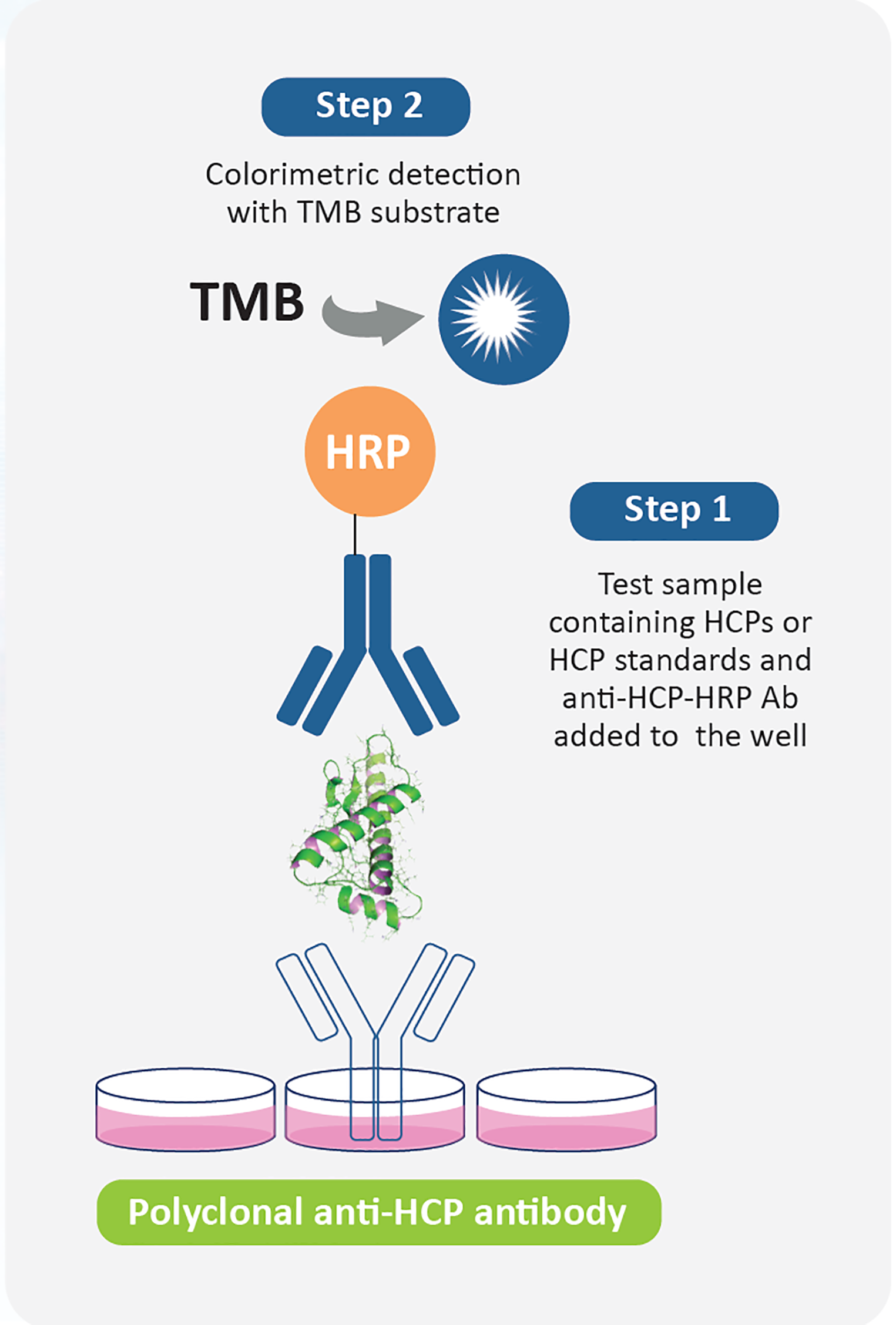 HCP ELISA and HCP Antibody Coverage Analysis Methods