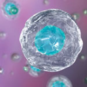 STR Profiling: Authentication of Human Cell Lines and Beyond